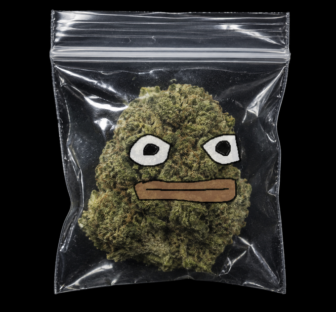 Daumenfrosch bud bag